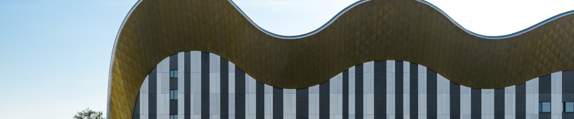 Дворец гимнастики Ирины Винер-Усмановой